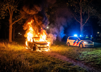 Opzettelijke autobrand in Vogelaarpark Etten-Leur: politie zoekt getuigen