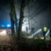 Bizarre ontdekking in het Liesbos: wandelaars stuiten op voodoopoppen en mysterieuze man