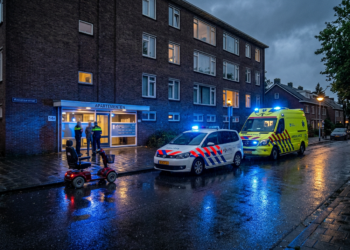 Burenruzie escaleert in zware mishandeling: vrouw (54) uit scootmobiel geslagen